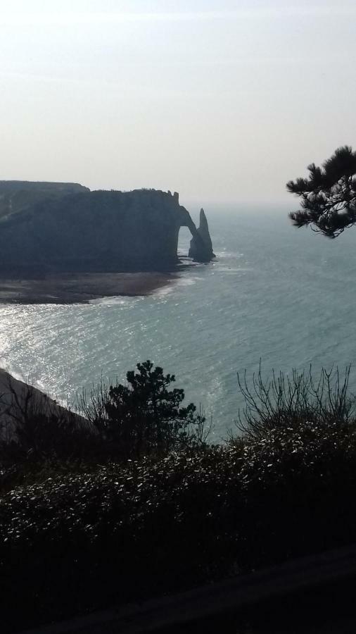 Les Nids Des Falaises Saint-Jouin-Bruneval Ngoại thất bức ảnh